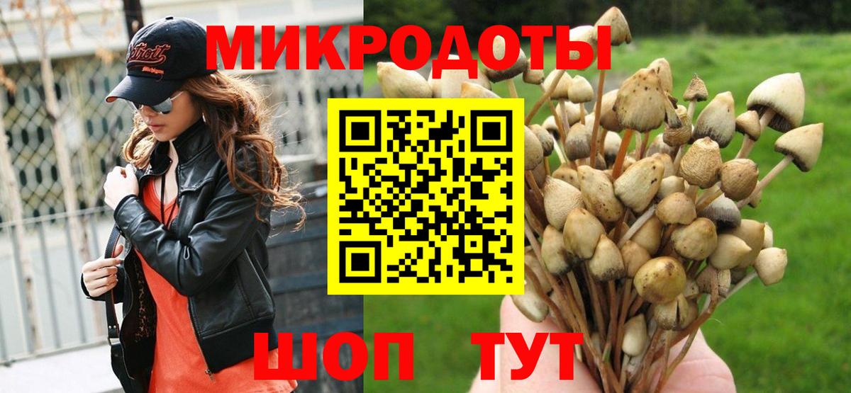 Торжок  Псилоцибиновые грибы прущие грибы  Вход с VPN  Псилоцибиновые грибы Psilocybe 