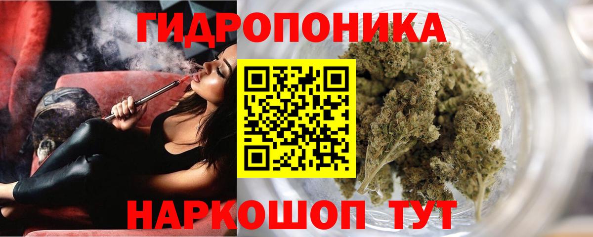 Конопля Amnesia Торжок